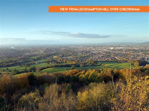 cheltenham seo